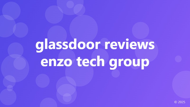 glassdoor reviews enzo tech group
